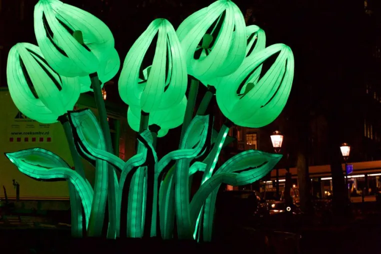 Bild: Lichtkunst in Amsterdam