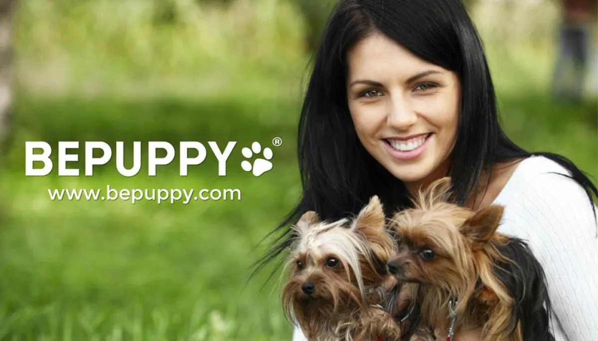 BEPUPPY, Das soziale Netzwerk für Haustiere