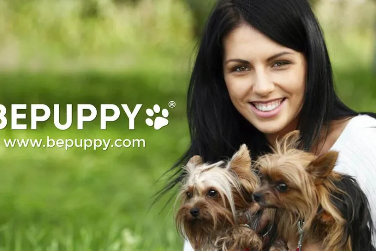 BEPUPPY: Das soziale Netzwerk für Haustiere! Bild: BEPUPPY: Das soziale Netzwerk für Haustiere!