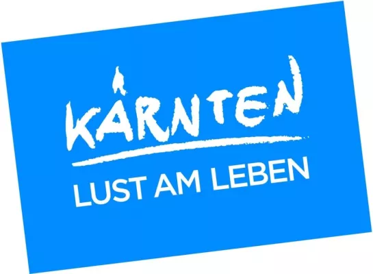 Bild: Tausend Flügelschläge gen Süden