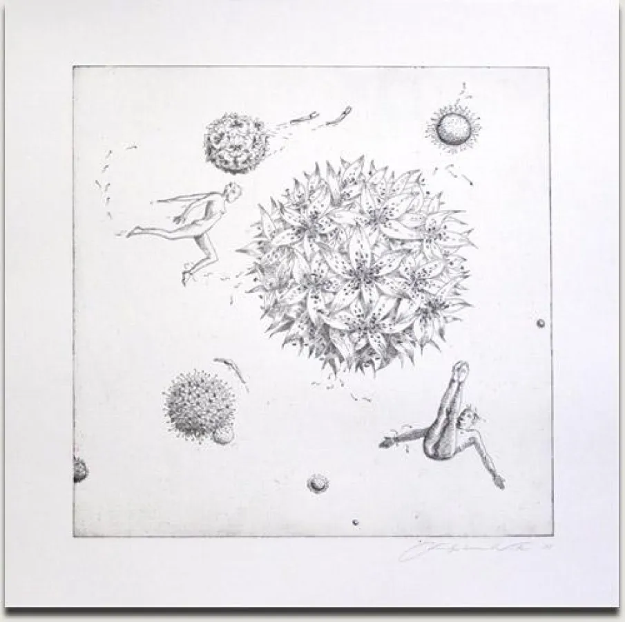 Christopher Winter, Cosmic Flora, 2009, s/w Radierung, 50 x 50 cm auf 74 x 74 cm