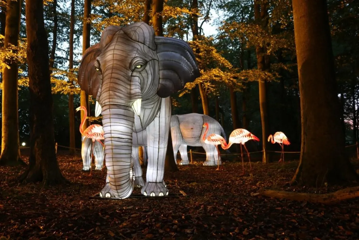 Die „Zoo-Lights 2020“ im Zoo Osnabrück leuchten bis zum 31. Oktober freitags und samstags.