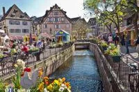 « Eclats de Pâques » – Osterglanz im Elsass Bild: « Eclats de Pâques » – Osterglanz im Elsass
