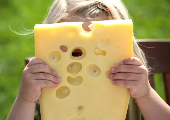 Bild: Der Expertentipp im September – Phänomen Allgäuer Emmentaler – Wie kommen die Löcher in den Käse?