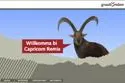 Bild: Vorsicht Steinbock! Regionenmarke „graubünden“ lanciert mehrjährige Kommunikationsoffensive
