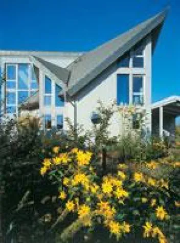 Dachsteine - Farbe bekennen Bild: Dachsteine - Farbe bekennen