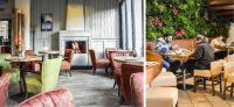 Bild: ALEX im neuen Look mit viel Grün