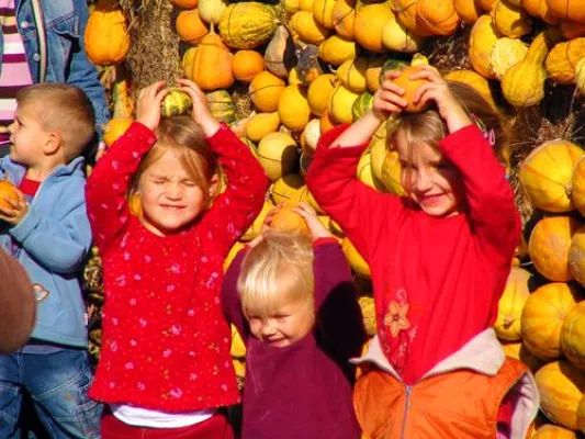 Herbstprogramm auf Pumpkin Island Bild: Herbstprogramm auf Pumpkin Island