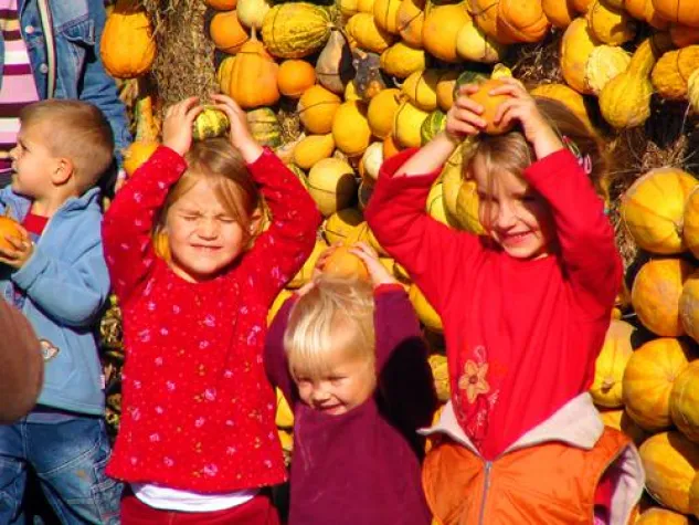 Bild: Herbstprogramm auf Pumpkin Island