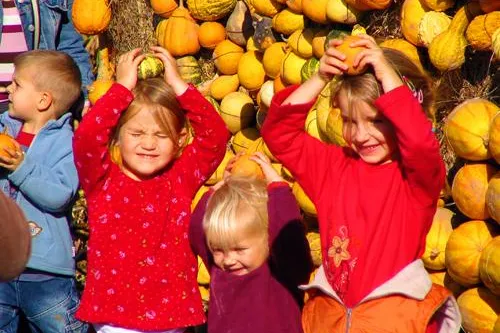 Bild: Herbstprogramm auf Pumpkin Island