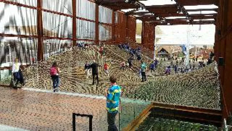 Bild: Die Welt geht Brasilien ins Netz