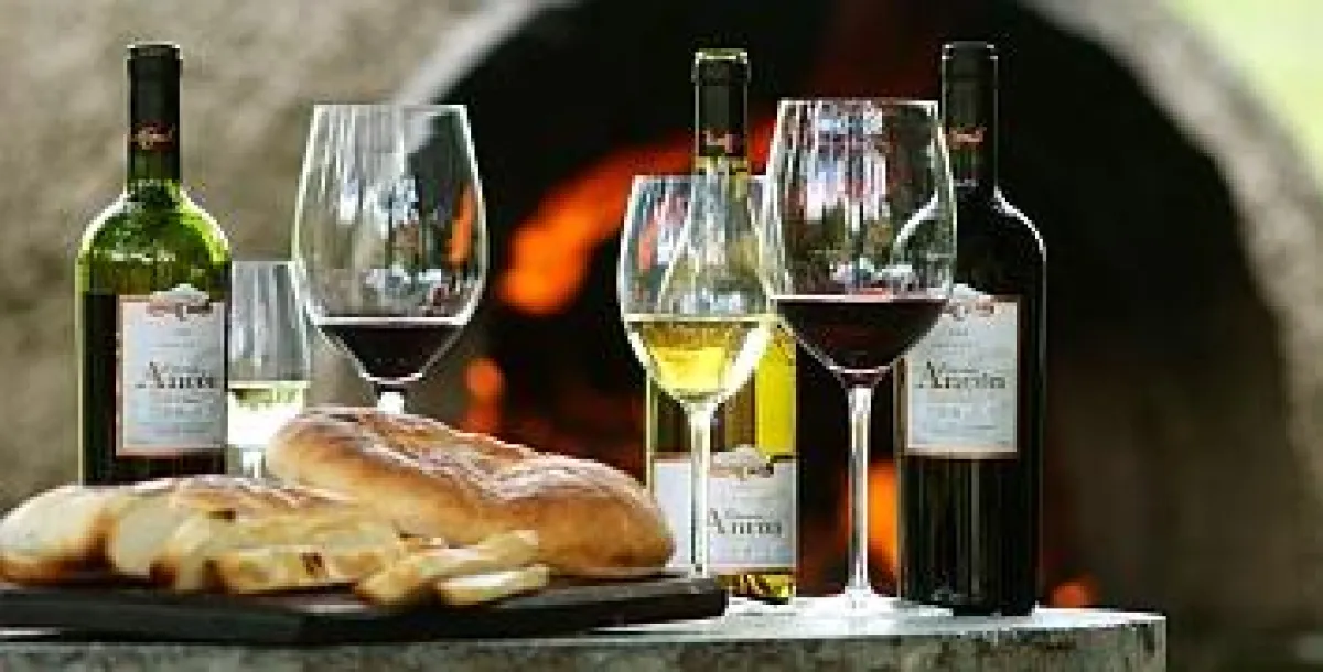 Weinreisen in Argentinien mit mavia soul travel