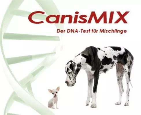 Bild: CanisMix – Der DNA-Test für Mischlingshunde