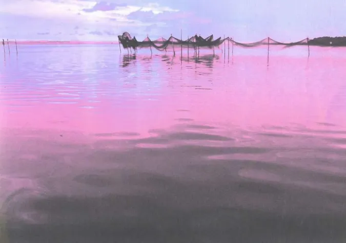 Bild: Kunst - Offen 2008