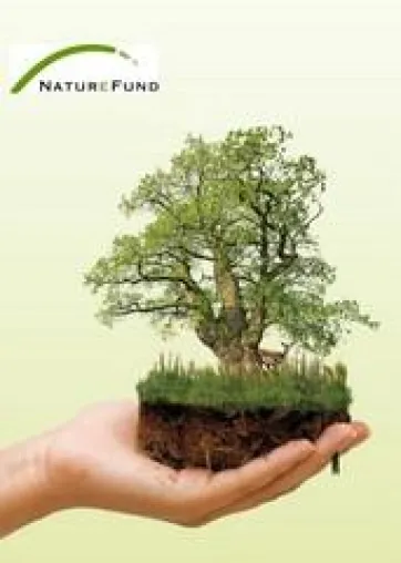 Bild: Naturefund eröffnet Waldfonds