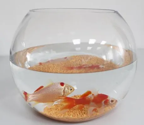 Bild: Spektakuläre Rettungsaktion bei HE-S!