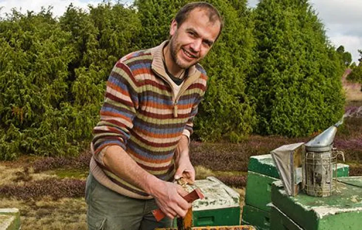 Bild: Schlechtes Bienen-Jahr - Honig vom Imker wird vermutlich teurer