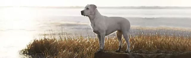 Bild: Partnerschaft mit Fachhändlern