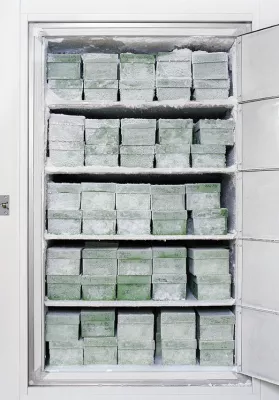 Bild: New Media Art von Michael Najjar auf der Pulse London 2007