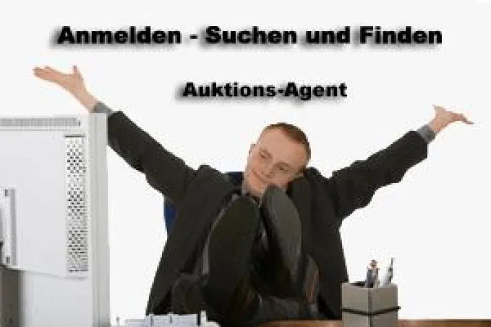 Bild: Das Auktionsportal im Web