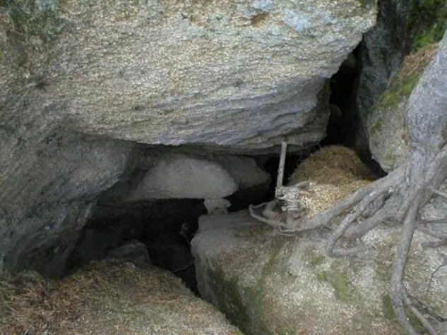 Bild: Gesundheit aus den Bergen Asiens