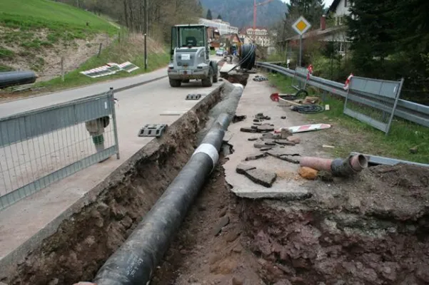 Bild: Ein vorbildliches Projekt: Wärme aus dem Biomasse-Kraftwerk für Klinik und Haushalte