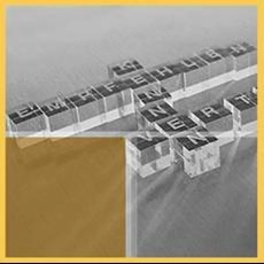 ForesPoint vernetzt seine Mitglieder: Lokal. Regional. Überregional