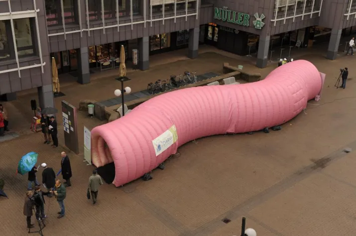 Bild: Darmkrebs-Vorsorge - 20 Meter lang und begehbar - das größte Darm-Modell Europas