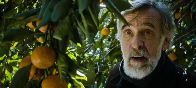 Oscar-Nominierung für den estnisch-georgischen Film „Tangerines“ Bild: Oscar-Nominierung für den estnisch-georgischen Film „Tangerines“
