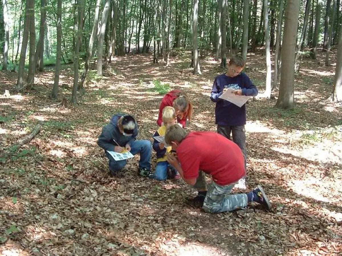 Junior Ranger auf der Suche nach Waldorchideen. (c) Gabi Beyer