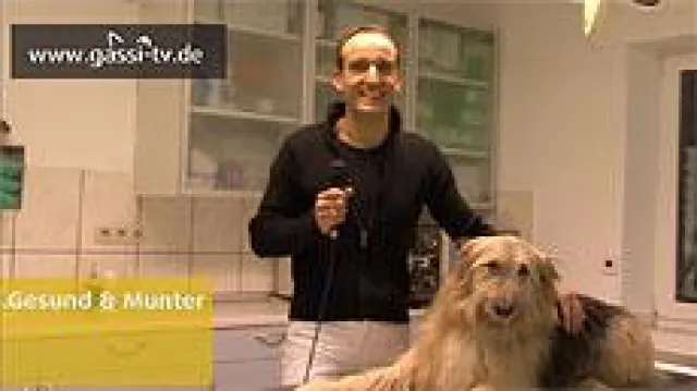 Bild: Sinn oder Unsinn von "Psycho-Pillen" bei Hunden