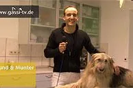 Bild: Sinn oder Unsinn von "Psycho-Pillen" bei Hunden