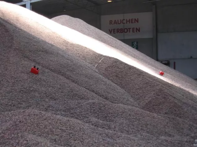 Bild: Kakaobohnen schwitzen nicht gerne.