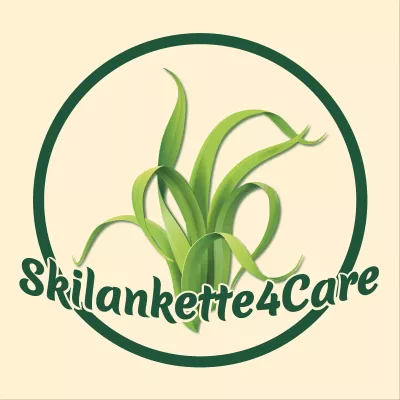 Bild: Die Skilankette-Alge – ein Multitalent für die Gesundheit