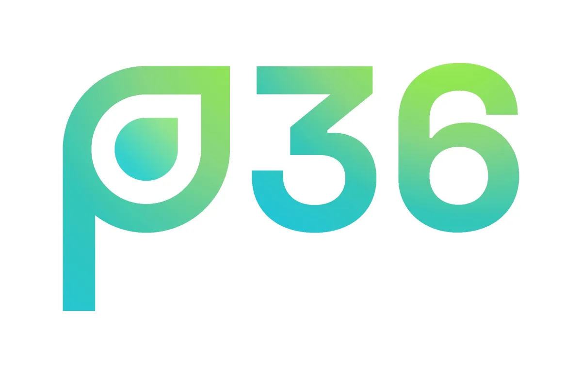 p36 GmbH