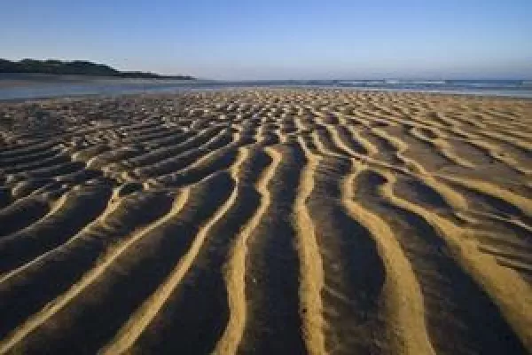 Bild: Weltnaturerbe Wattenmeer - Fotoausstellung von Martin Stock
