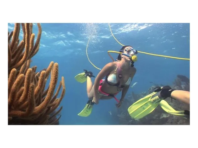 Schnauchen oder Torcheln? Bild: Schnauchen oder Torcheln?