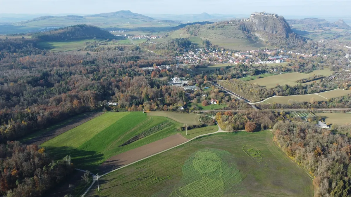 Das Porträt der Mona Lisa aus Millionen von Pflanzen auf einem Feld bei Singen am Hohentwiel