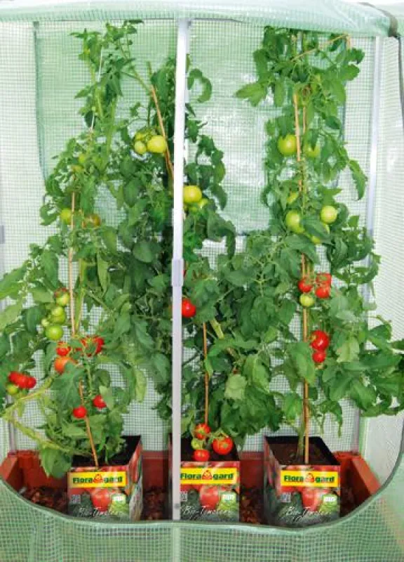 Sorgt für gutes Gelingen in Beet und Co.: die hochwertige Bio Tomaten- und Gemüseerde von Floragard.