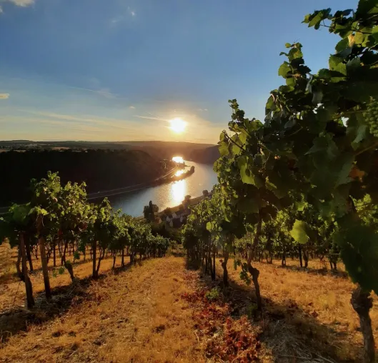 Loreley Touristik e.V.: Neue Angebote für Frühaufsteher, Nachteulen und Schlender-Wochenendler Bild: Loreley Touristik e.V.: Neue Angebote für Frühaufsteher, Nachteulen und Schlender-Wochenendler