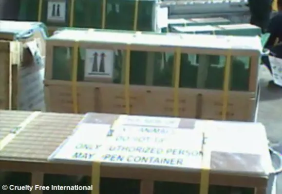 Bild: Air France fliegt 120 Primaten von Mauritius ins Versuchslabor - 37 Stunden-Tortur
