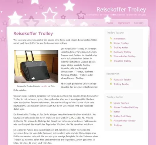 Neue Ideenquelle für Reisekoffer Trolley im Internet Bild: Neue Ideenquelle für Reisekoffer Trolley im Internet