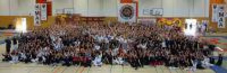 Bild: Martial Arts Day - Europas größtes Kampfkunst Benefizseminar