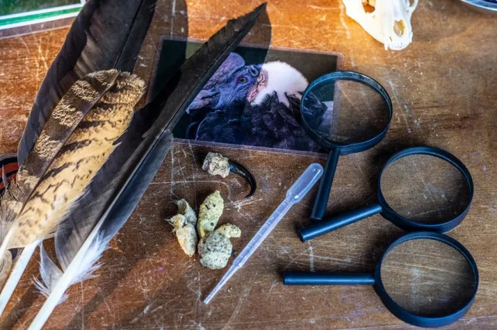 Bild: Ein tierischer Unterricht mit dem Wildpark Müden.