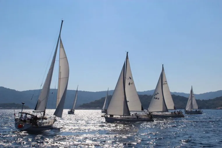 AMS Sailing Cup in Kroatien Bild: AMS Sailing Cup in Kroatien
