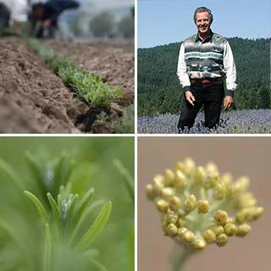Gary Young, Gründer von Young Living Essential Oils