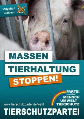Tierschutzpartei: Ausstieg aus Massentierhaltung jetzt! Bild: Tierschutzpartei: Ausstieg aus Massentierhaltung jetzt!