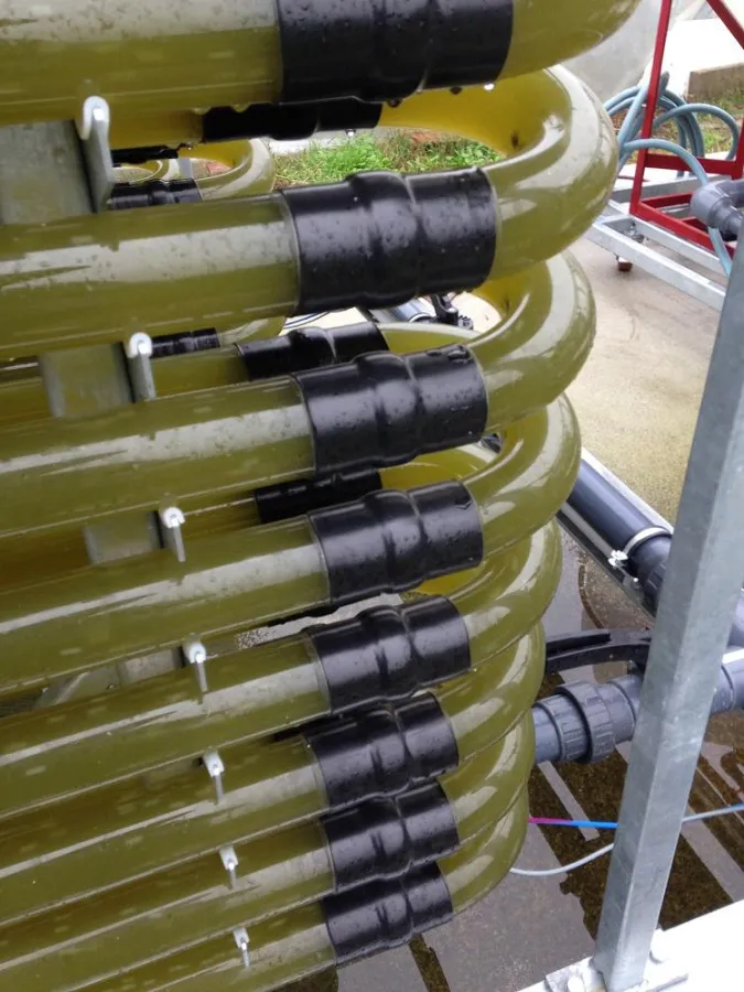 Seminarveranstaltung NAM Niedersächsische Algen Manufaktur GmbH