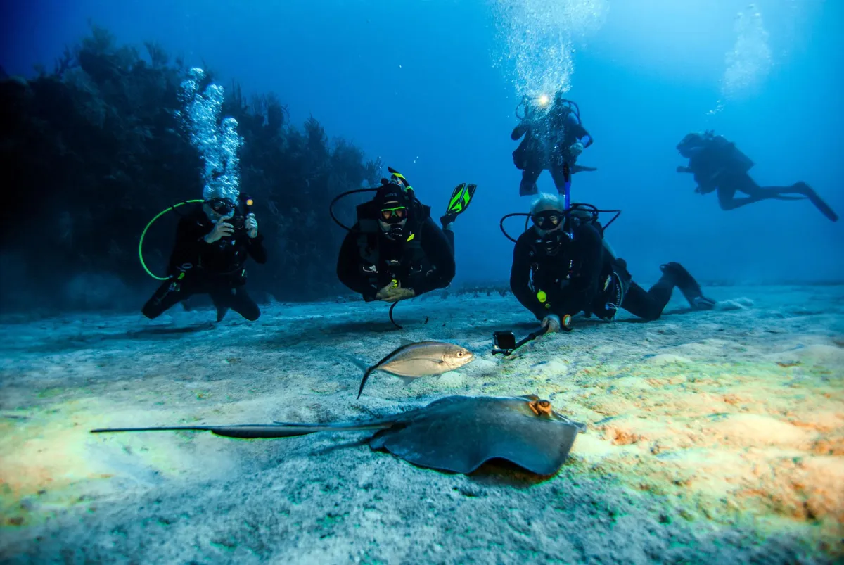 Begegnung mit einem Rochen in Rhode Island (c) East Bay Dive Center