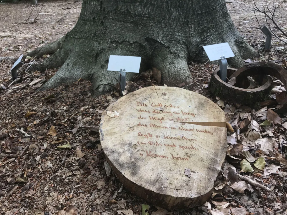 Holzscheibe im Bestattungswald